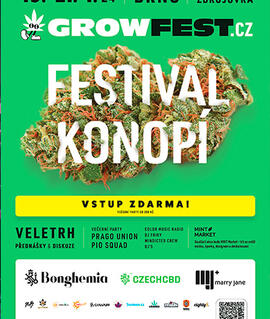 Festival Growfest 2024, Nová Zbrojovka. Magazín KULTINO* Brno